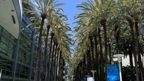 NAMM 2022, the 13 interviews done on Saturday, from Jay Leonard J to Nathaniel Murphy